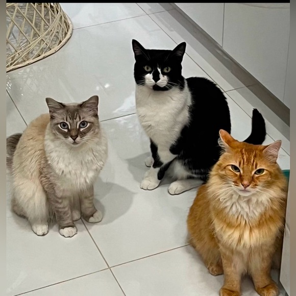 Meet your Posher, Wendy - Picture 4 of 4